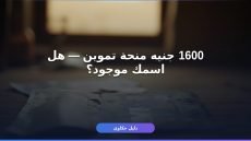 منحة التموين