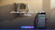 استعلام عن فاتورة الكهرباء شهر يوليو 2026